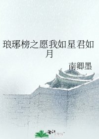 （琅琊榜同人）琅琊榜之願我如星君如月